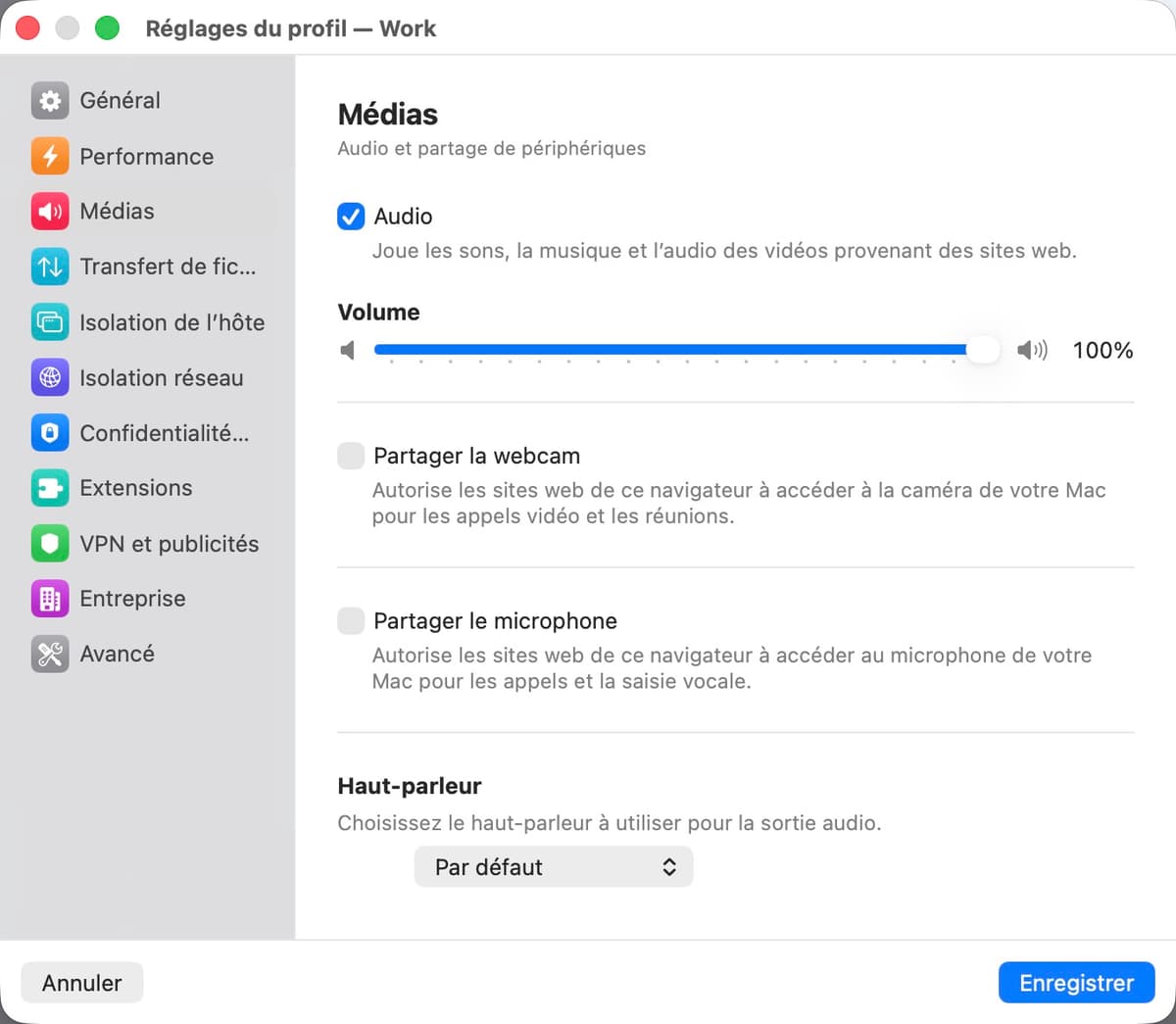 Panneau des paramètres multimédia