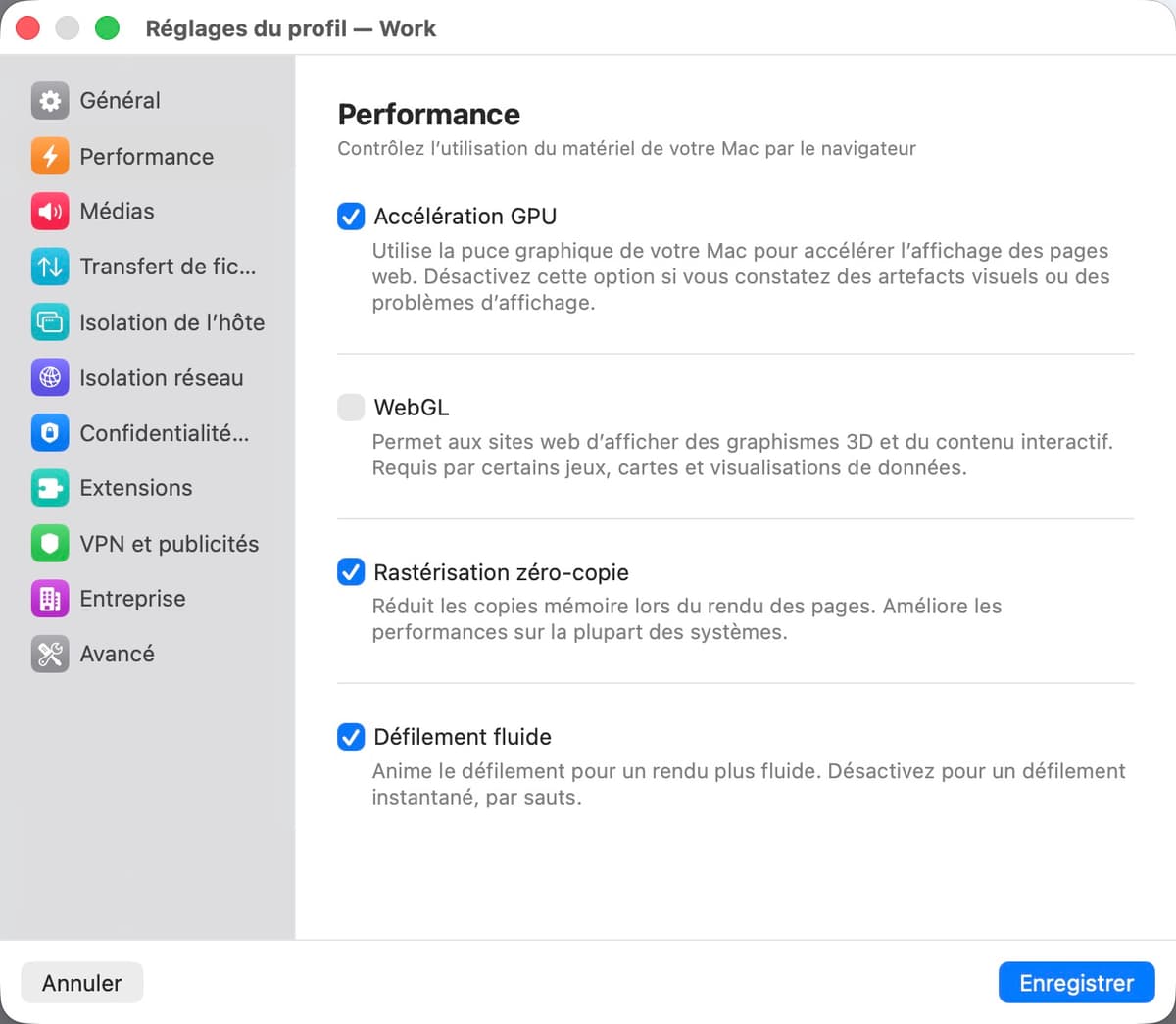 Panneau des paramètres de performance