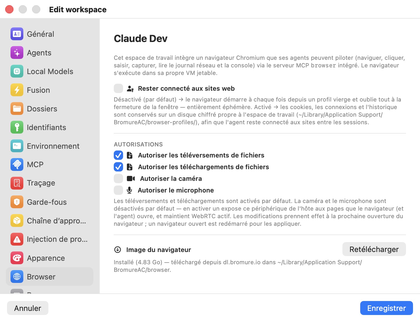 Le volet Navigateur de la fenêtre Modifier l'espace de travail, montrant le bouton Rester connecté aux sites web (désactivé) ; une section Autorisations avec Autoriser les téléversements de fichiers et Autoriser les téléchargements de fichiers activés et Autoriser la caméra et Autoriser le microphone désactivés ; et une section Image de navigateur indiquant Installée avec un bouton Retélécharger